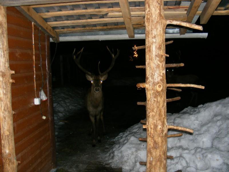 Apartamento Olsik Białowieża Exterior foto